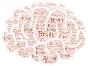 brein hersenen emotie waarneming actief voorspellen constructivistisch Lisa Feldman Barrett leren veranderen trauma