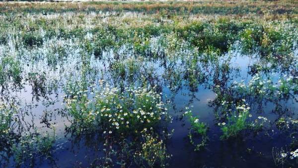 herfstwandelimng magrieten water wandelcoach
