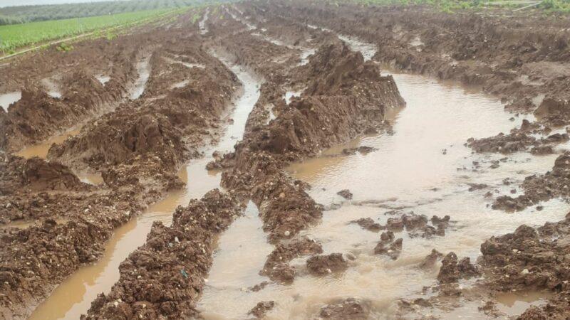 satisfacción ayudas temporal