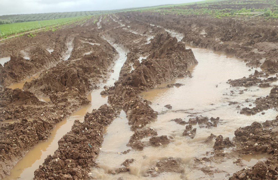 COAG Andalucía muestra su satisfacción por las ayudas y afirma que estará vigilante para que lleguen a quienes lo han perdido todo