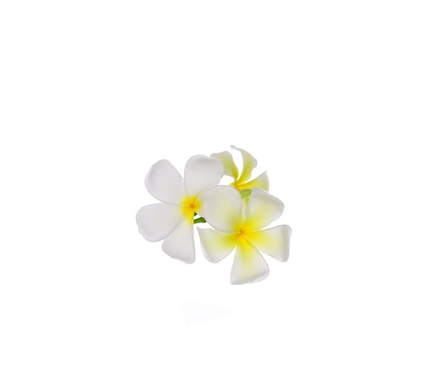 h2-background-img-2
