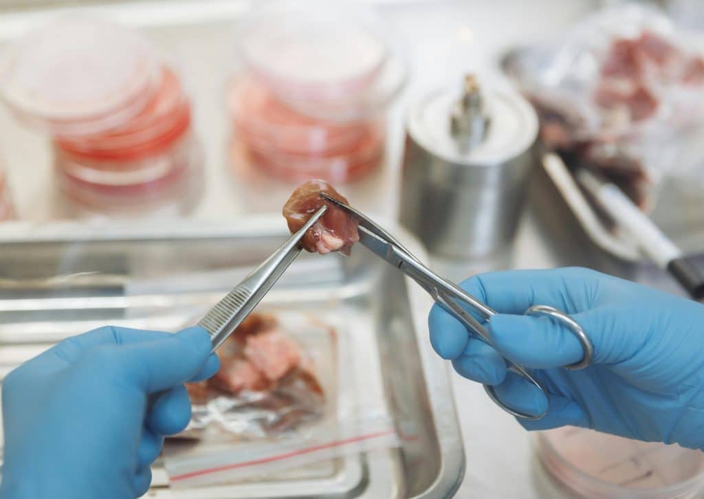 carne sintetica o de laboratorio