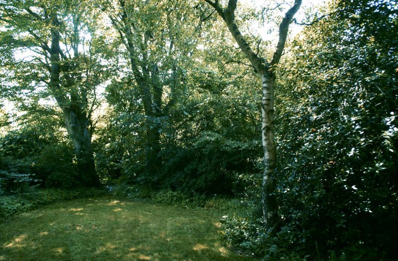 NATURGARTEN MIT ALTEN BAUMBESTAND