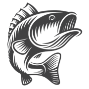 big-fish big-fish
