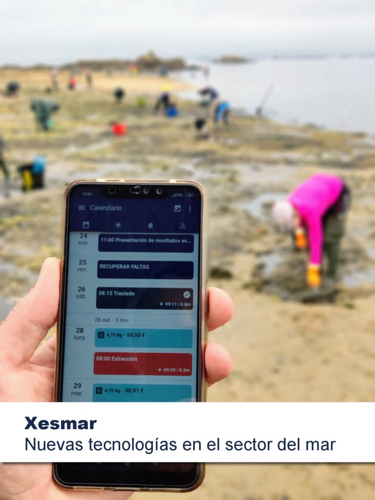 Proyecto Xesmar