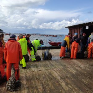 Marisqueo a flote