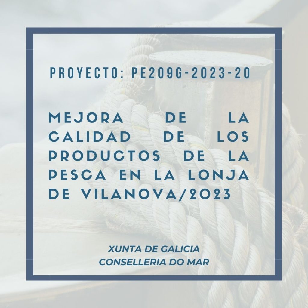 Mejora de la calidad de los productos de la pesca en la lonja de Vilanova/2023