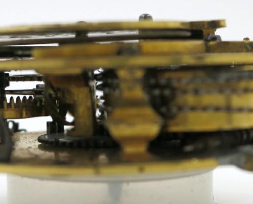 IMG_4852 William Camden verge