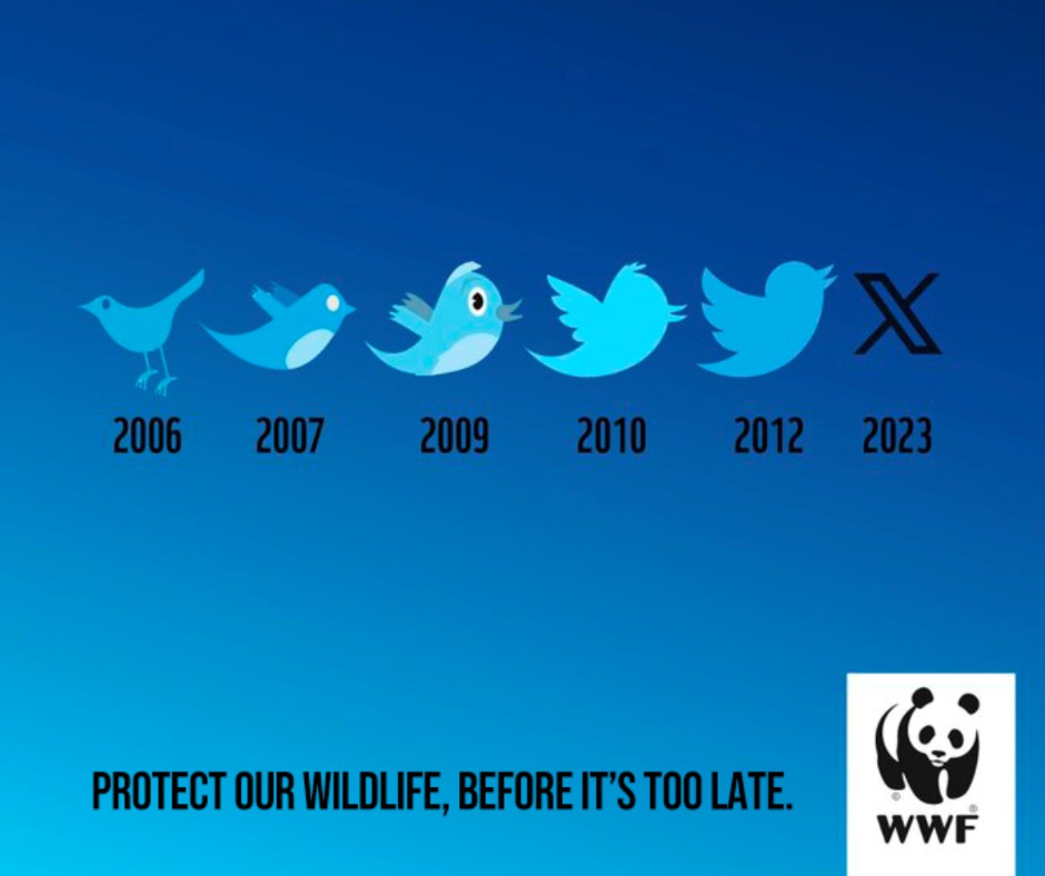 Image of World Wildlife Foundation Reaction to Twitter X