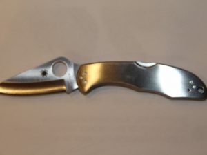 Spyderco Delica 4 Folding Knife C11P
