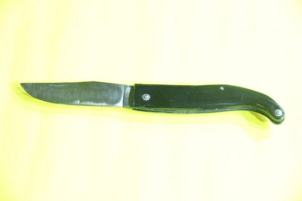 Coltello FIORENTINO - Manico Plastica - cm 21