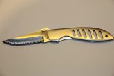 LEOPARD_51b30b9b5a957.jpg