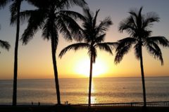 Palmenstrand bij zonsondergang
