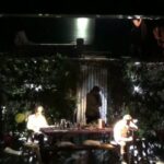 Cat on a hot tin roof