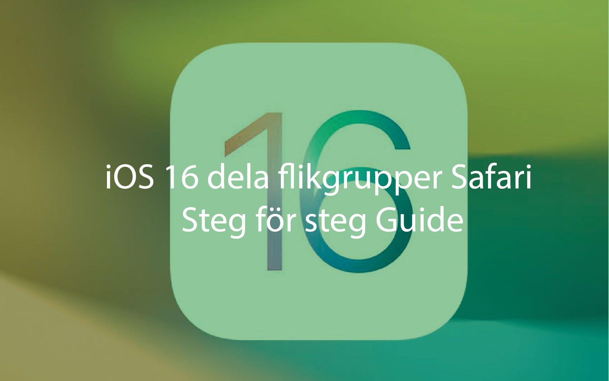 iOS 16 dela flikgrupper Safari – det här är den coolaste nya webbläsarfunktionen för din iPhone