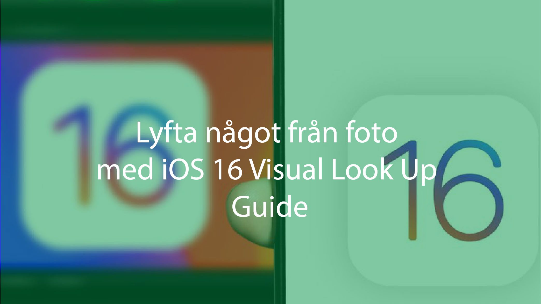 lyfta något från foto med iOS 16 Visual Look Up Guide