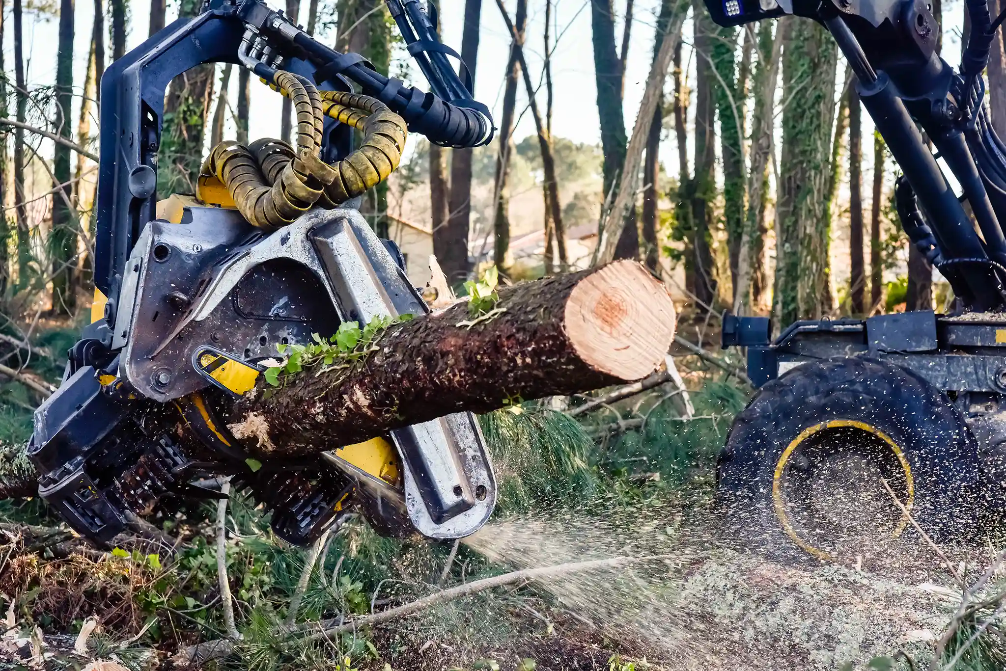 Joystick forestry machine