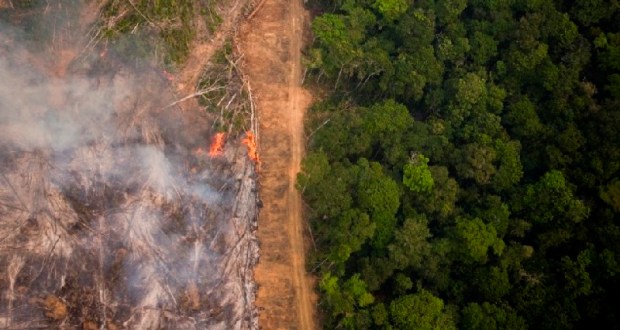 desmatamento amazonia cresce 50 porcento 2019 conexao planeta