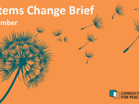 Systems-change-brief-website