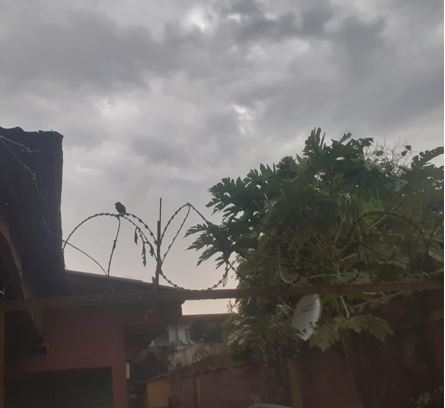 Grosse pluie à Kinshasa en ce moment, quelle conséquence ?