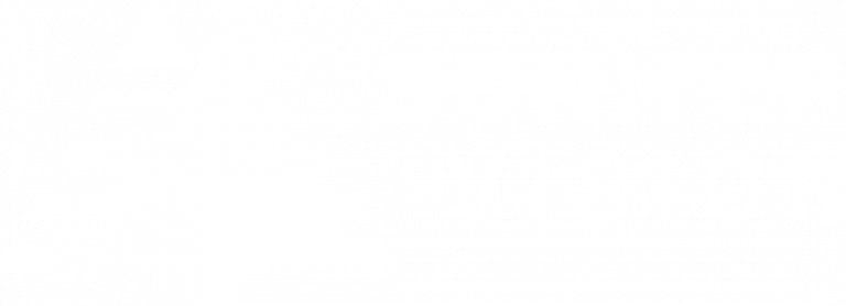 Conifer Vision