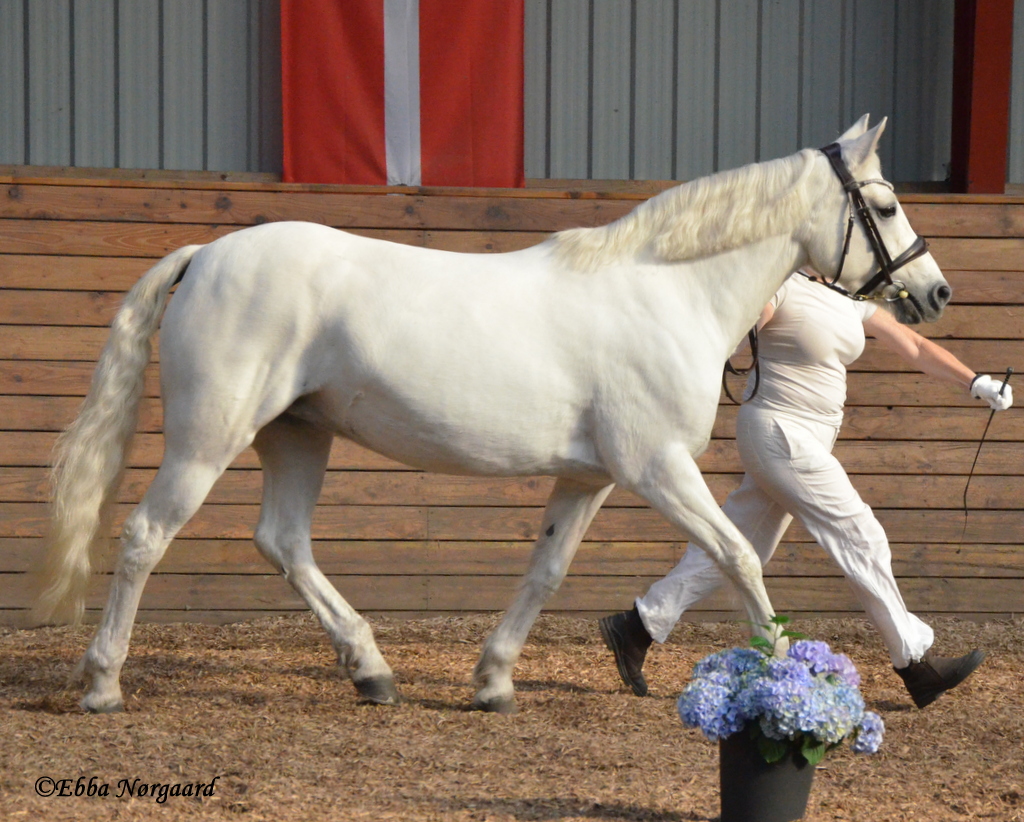 C Kronborg 2