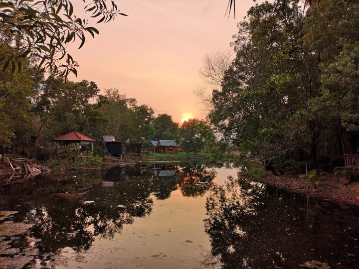 Sunset at the Mangroves & More Restaurant