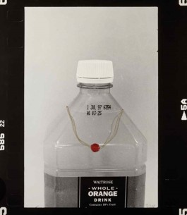 Contemporary Chinese Photography