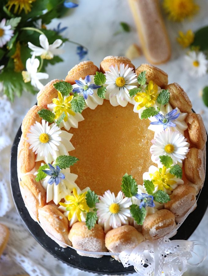 no-bake mangocheesecake