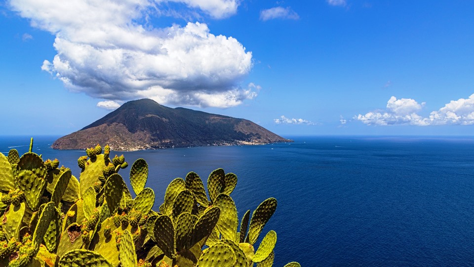 Soci Coordinamento Agroecologia Sicilia