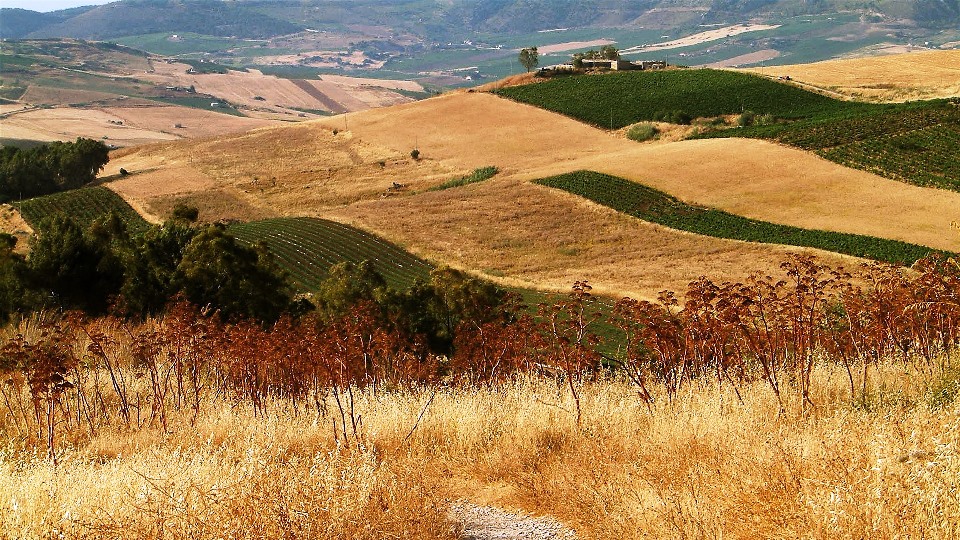 Esposto Corte dei Conti di Palermo