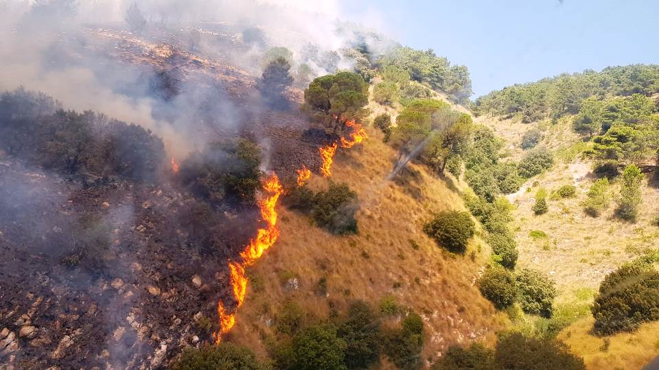 Documento ufficiale sugli Incendi