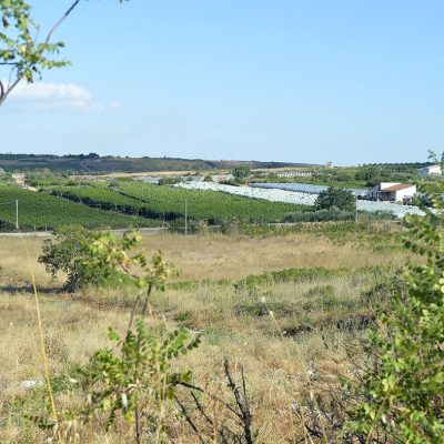 Azienda Agricola Azzalora Bio