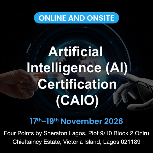Chief Artificial Intelligence Officer Lagos