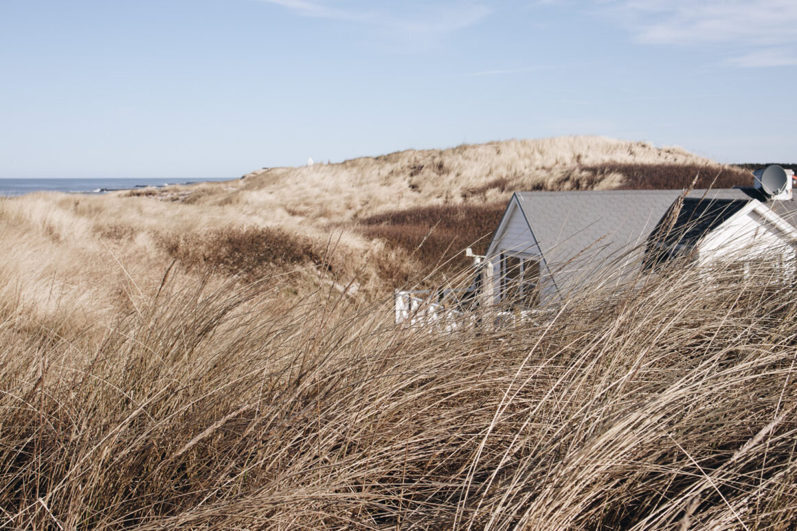 hus i sanddyner vid vesterhavet