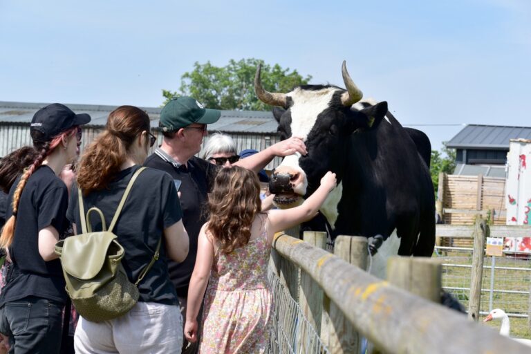 CoppershellAnimalRescue-openday3