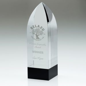 CLEAR/BLACK POINTED COLUMN (60mm THICK) - 6.5in