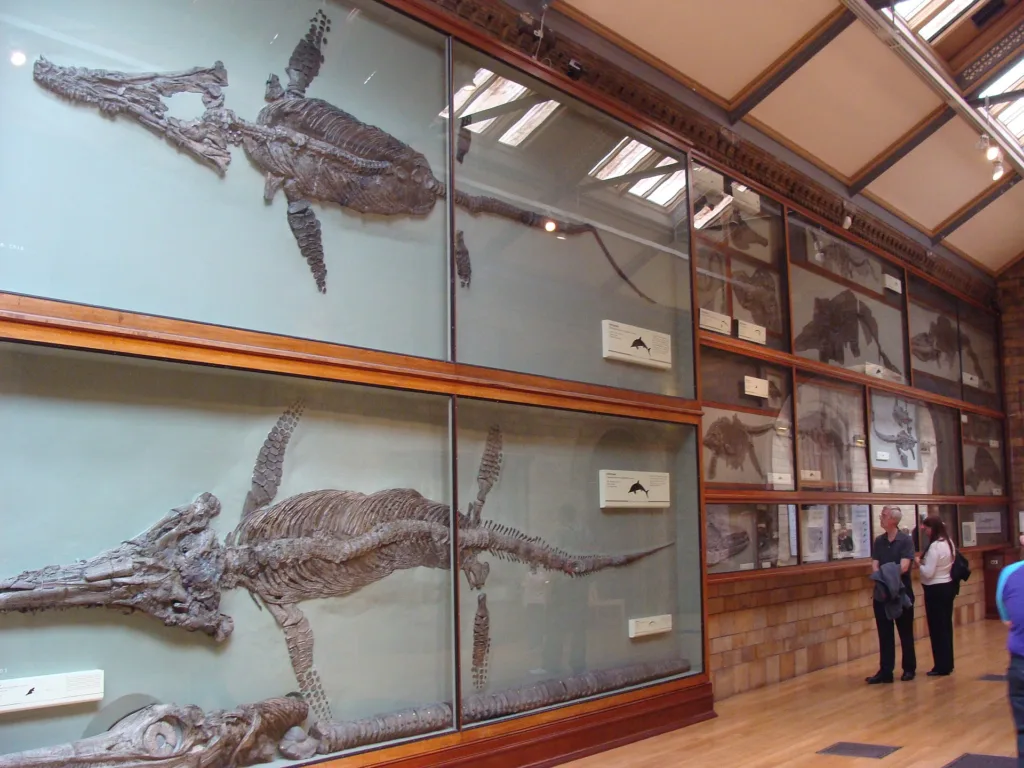 ichthyosaur habitat oppdaget