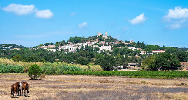 Grimaud