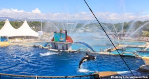 Marineland Antibes