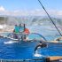 Marineland Antibes