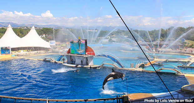 Marineland Antibes