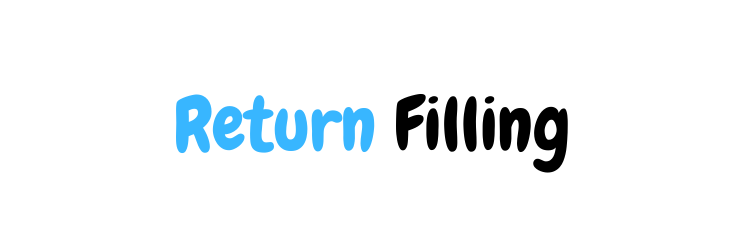 Return Filing