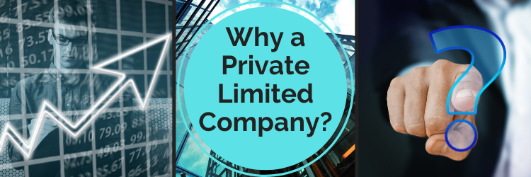 why private Limited company is popular?