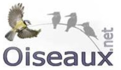 Oiseaux