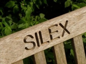 banc-silex