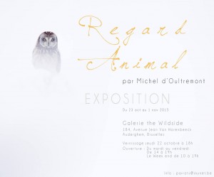 Exposition photographique Michel d'Oultremont