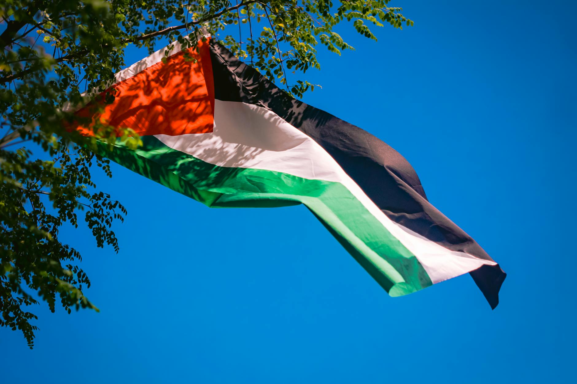 palestine flags waving behind tree