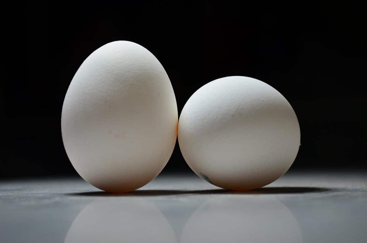 eggs, egg, easter, white, chicken, focus, black and white, macro, eggs, eggs, egg, egg, egg, egg, egg