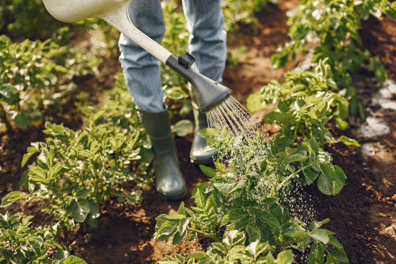Watering can